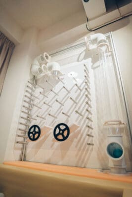 Plantation全場約1400尺，佐敦站A出口步行2-3分鐘即可到。商廈全層，夠晒私隱。Party room可直出平台，特大平台可約20人同時BBQ。室內提供豐富休閒設施，亦有多款兒童玩具如：廚房玩具、彈彈兔、遙遙板、電子琴、波波池及管道遊戲等。尤其適合有小朋友嘅聚會。