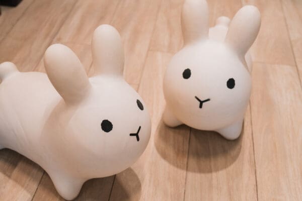 Fluffy BBQ party room 桌球 籃球機 唱K 波波池 兒童 親子 包場 新界 葵芳 推介